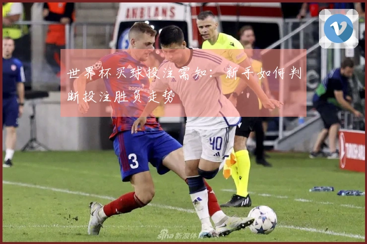 世界杯买球投注需知：新手如何判断投注胜负走势