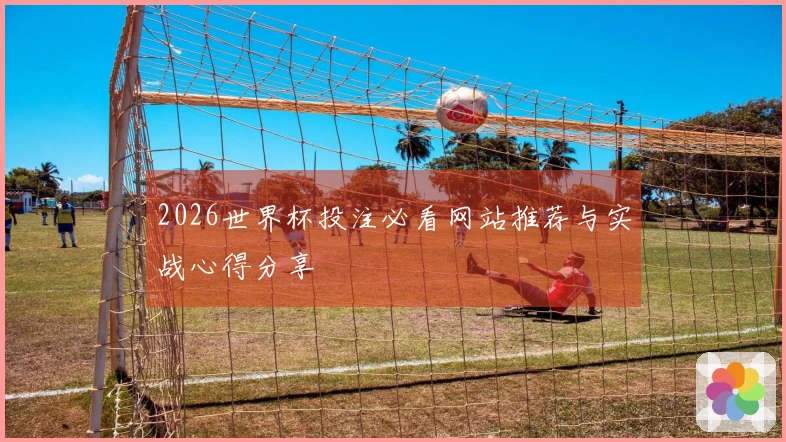 2026世界杯投注必看网站推荐与实战心得分享