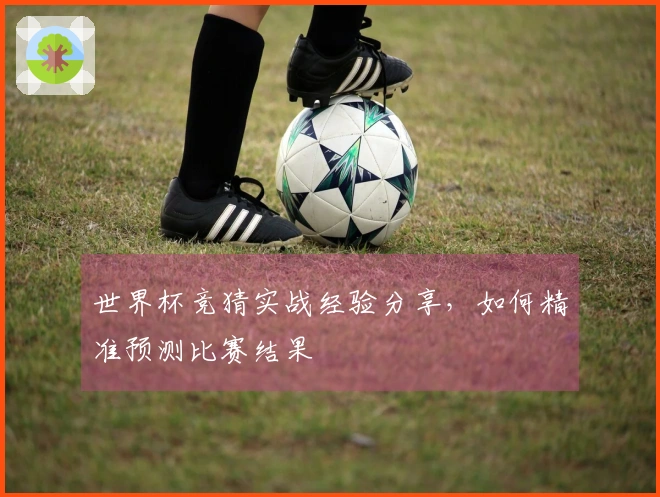 世界杯竞猜实战经验分享，如何精准预测比赛结果