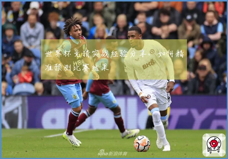 世界杯竞猜实战经验分享，如何精准预测比赛结果